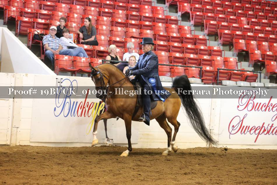 Proof 19BUCK_01091