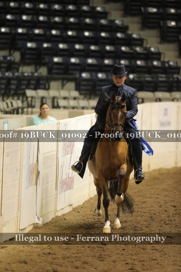 Proof 19BUCK_01092