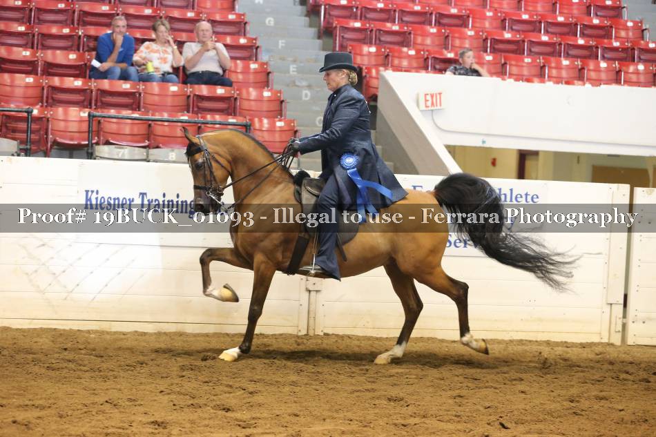 Proof 19BUCK_01093
