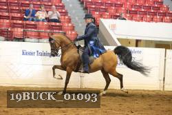 19BUCK_01093 proof