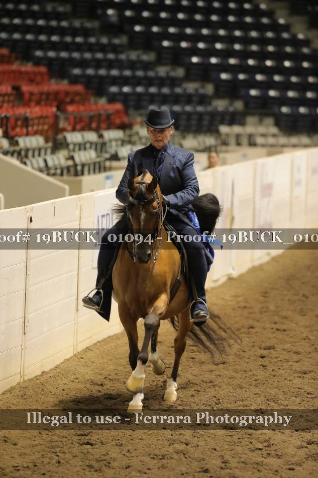 Proof 19BUCK_01094