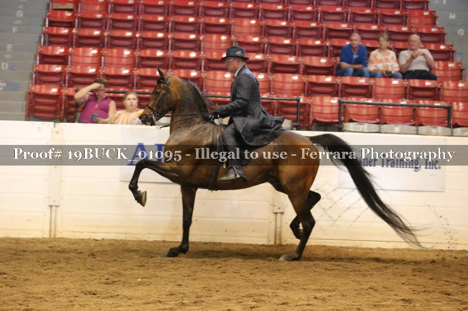 Proof 19BUCK_01095