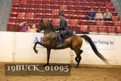 19BUCK_01095 proof