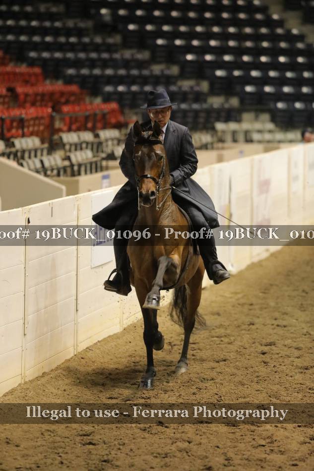Proof 19BUCK_01096