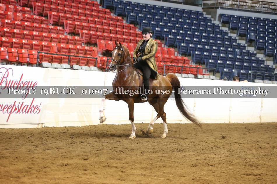 Proof 19BUCK_01097