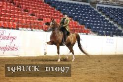 19BUCK_01097 proof