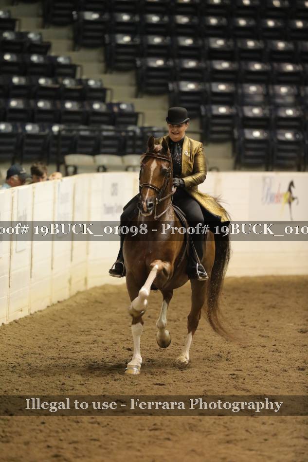 Proof 19BUCK_01098