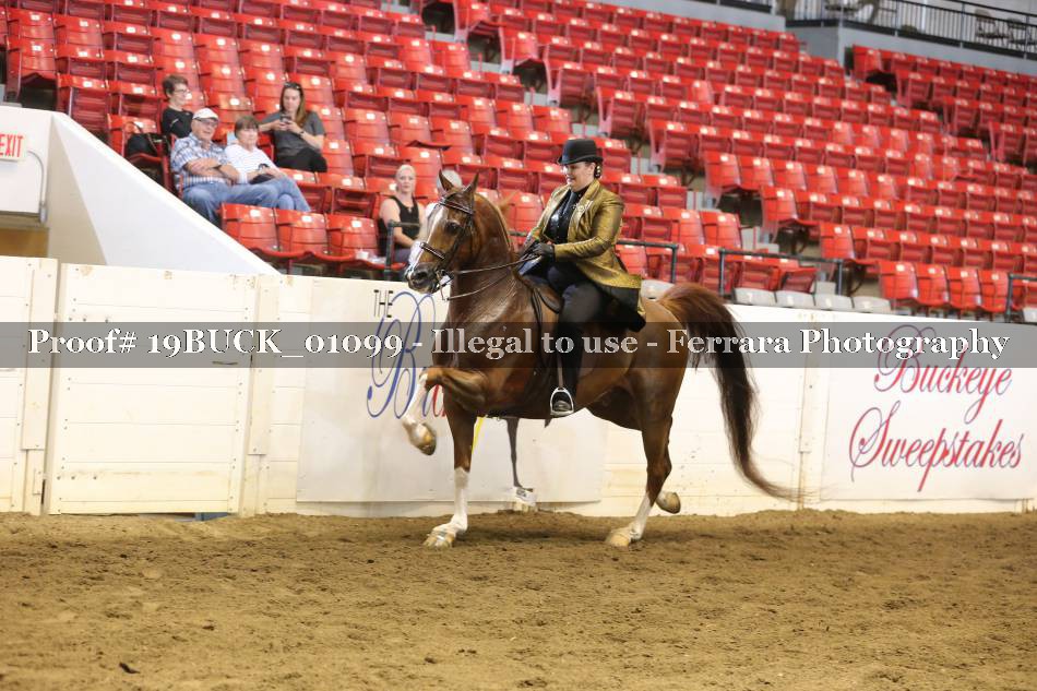 Proof 19BUCK_01099