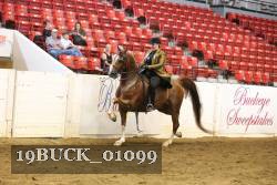 19BUCK_01099 proof