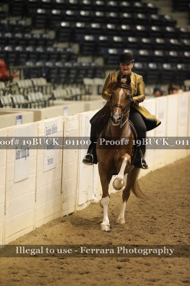 Proof 19BUCK_01100