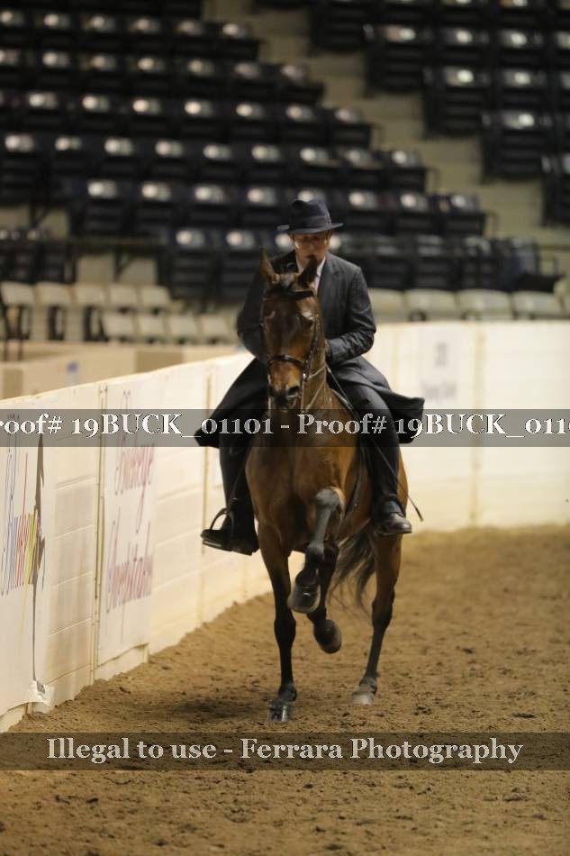Proof 19BUCK_01101