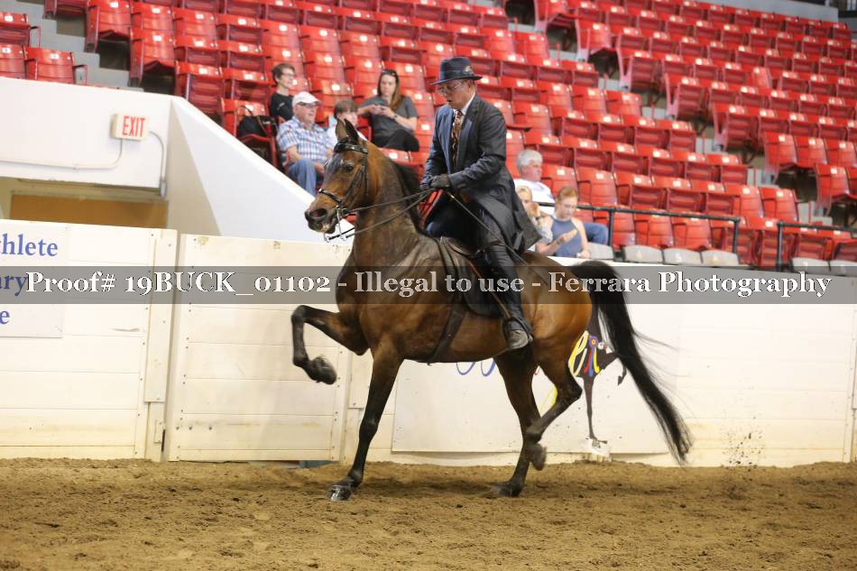 Proof 19BUCK_01102