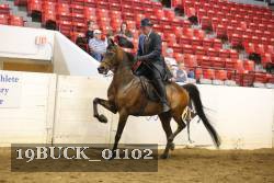 19BUCK_01102 proof