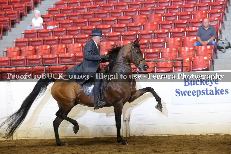 Proof 19BUCK_01103