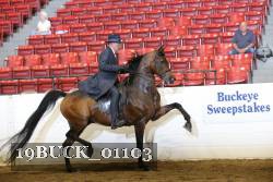 19BUCK_01103 proof