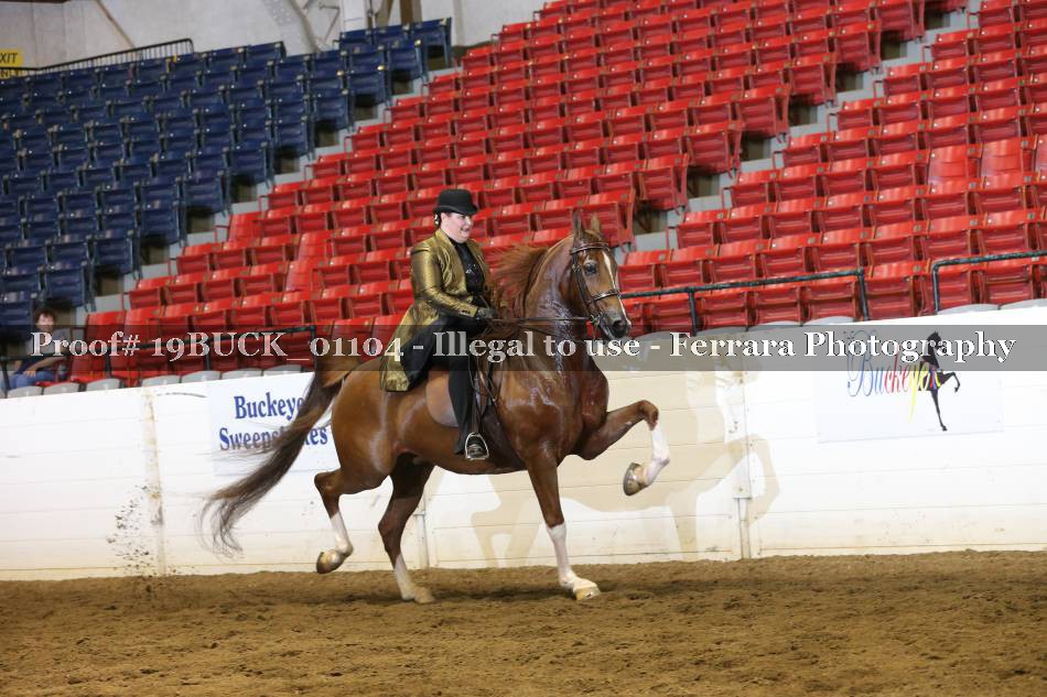 Proof 19BUCK_01104