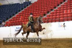 19BUCK_01104 proof