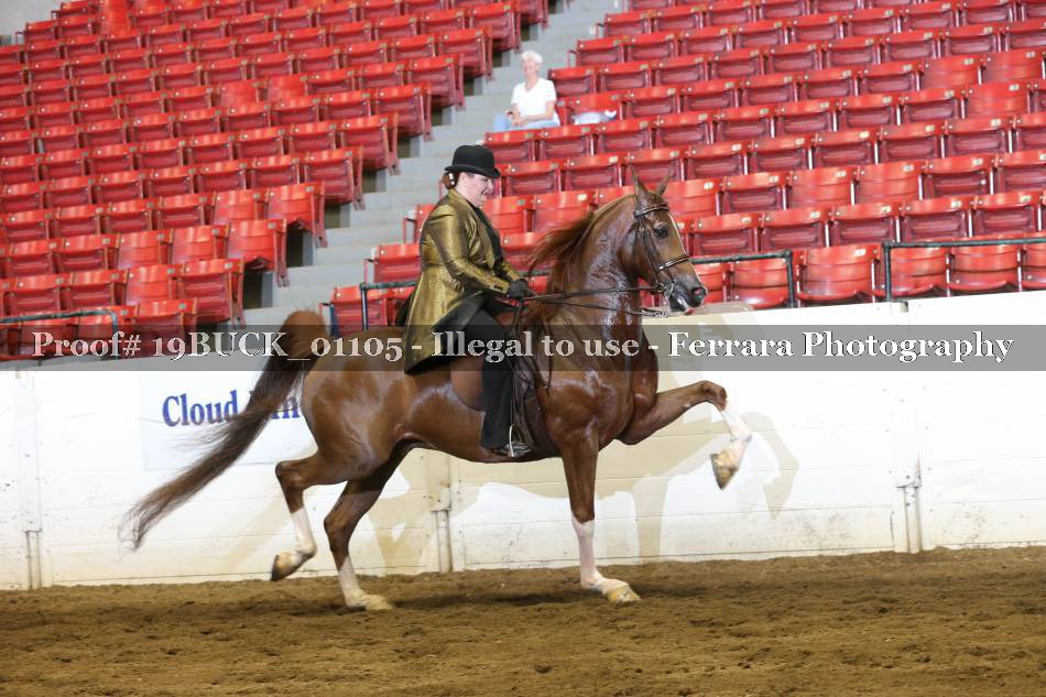 Proof 19BUCK_01105