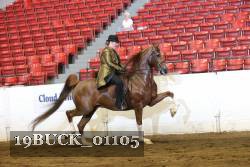19BUCK_01105 proof