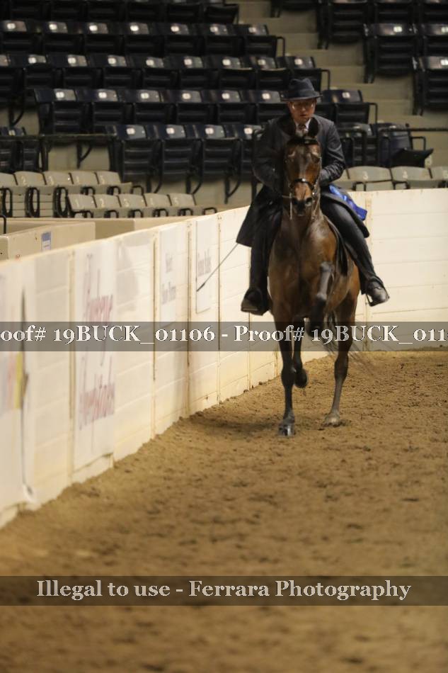 Proof 19BUCK_01106