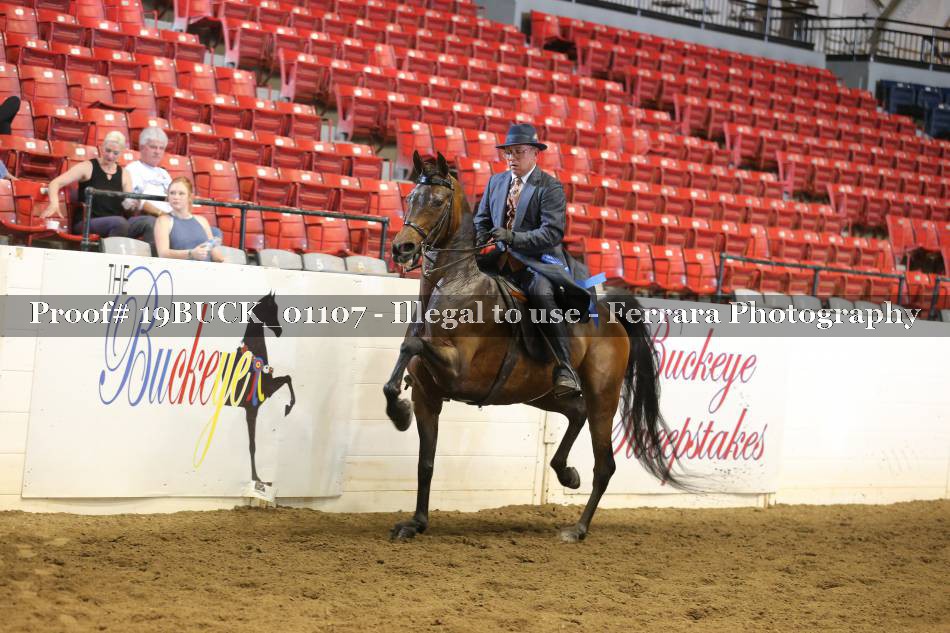 Proof 19BUCK_01107