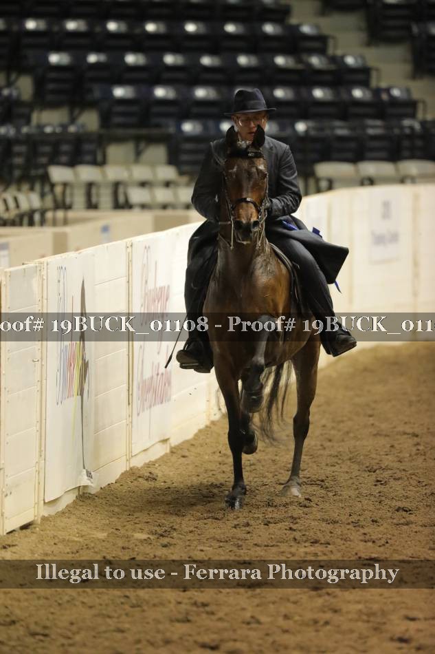 Proof 19BUCK_01108