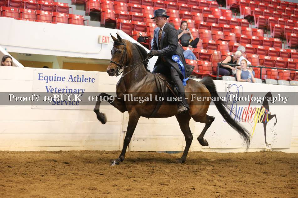 Proof 19BUCK_01109