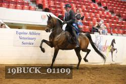 19BUCK_01109 proof