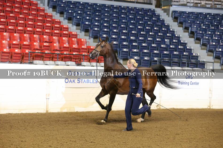 Proof 19BUCK_01110