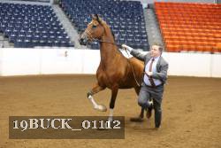 19BUCK_01112 proof