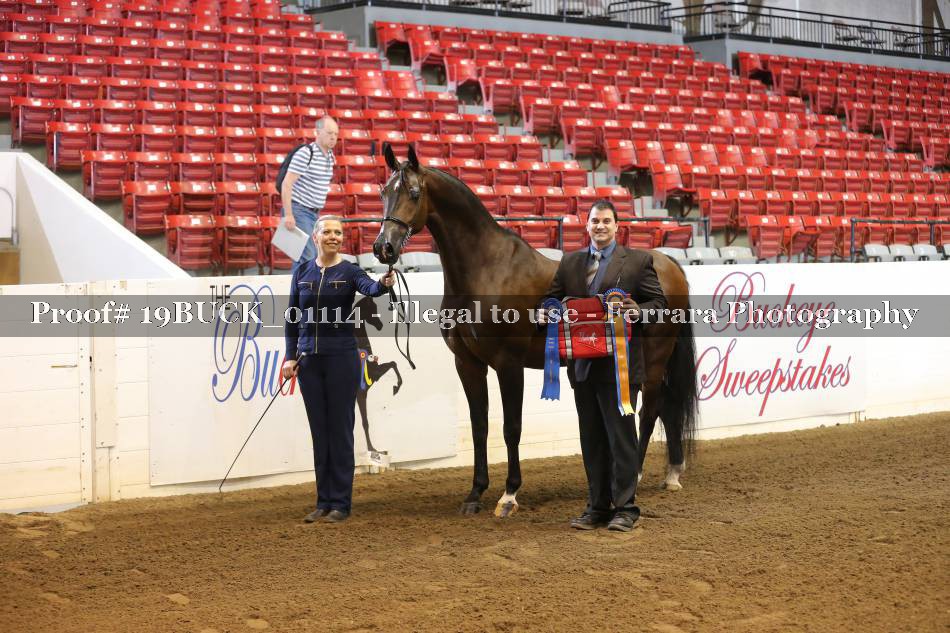 Proof 19BUCK_01114