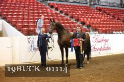 19BUCK_01114 proof