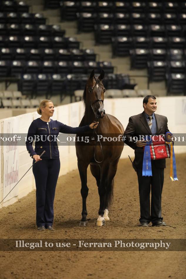 Proof 19BUCK_01115