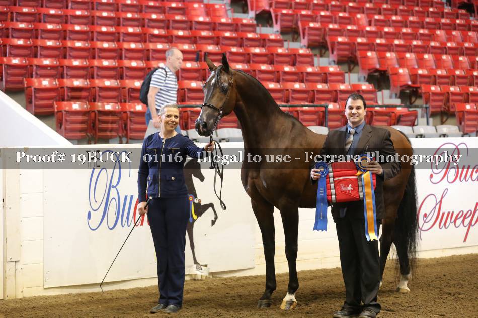 Proof 19BUCK_01116