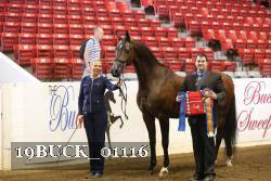 19BUCK_01116 proof