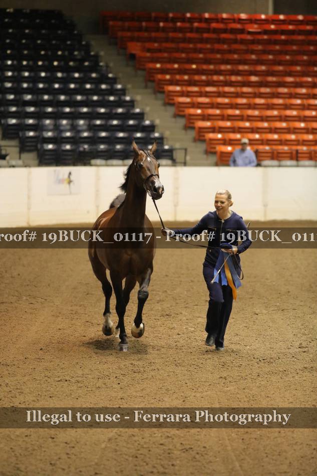 Proof 19BUCK_01117