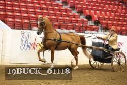 19BUCK_01118 proof