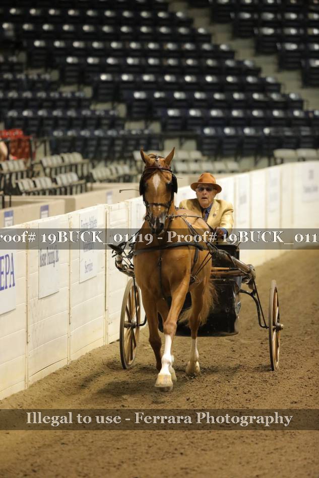 Proof 19BUCK_01119
