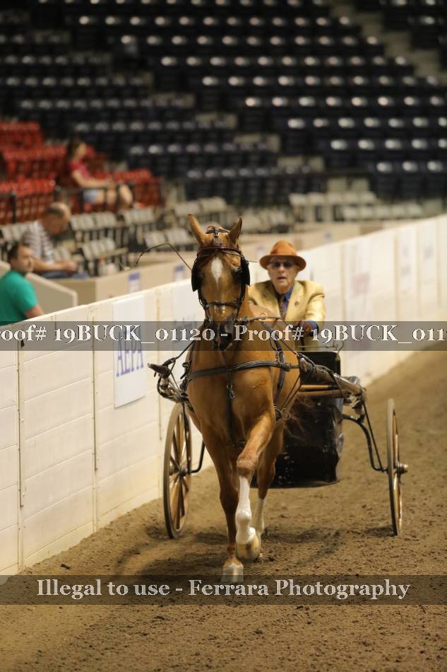 Proof 19BUCK_01120