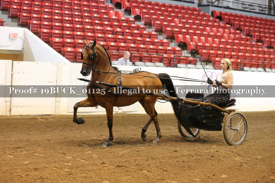 Proof 19BUCK_01125
