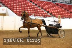 19BUCK_01125 proof
