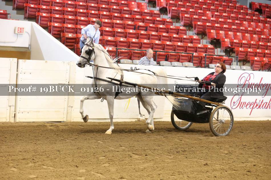 Proof 19BUCK_01126