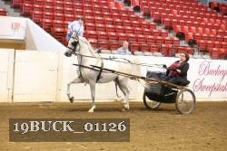 19BUCK_01126 proof