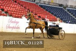 19BUCK_01128 proof