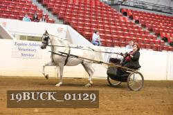 19BUCK_01129 proof
