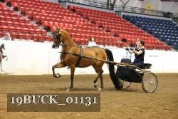 19BUCK_01131 proof