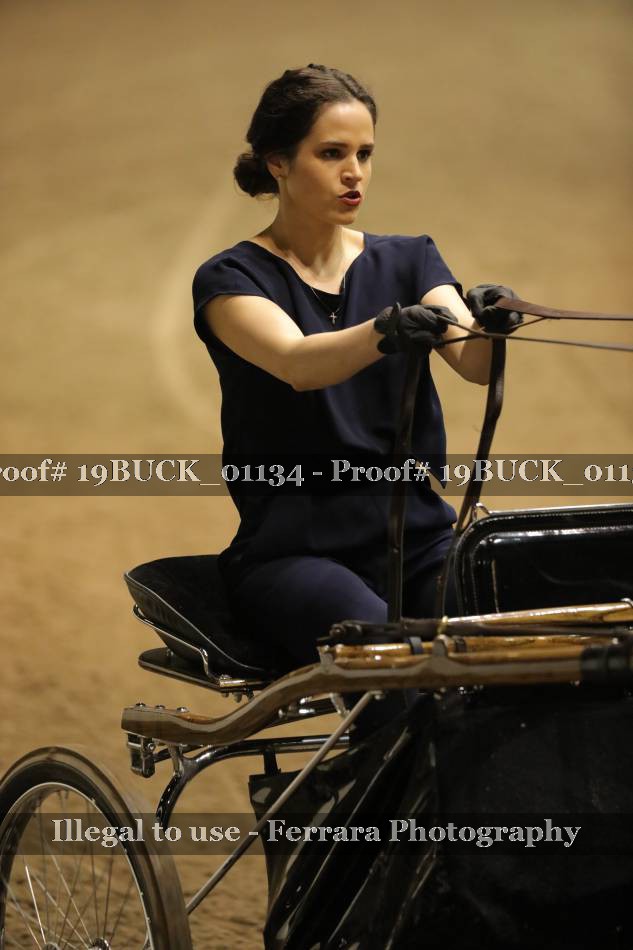 Proof 19BUCK_01134