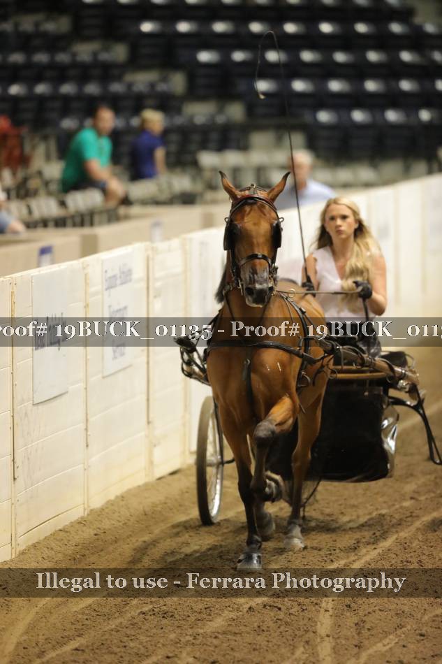 Proof 19BUCK_01135