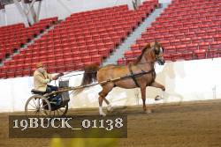 19BUCK_01138 proof