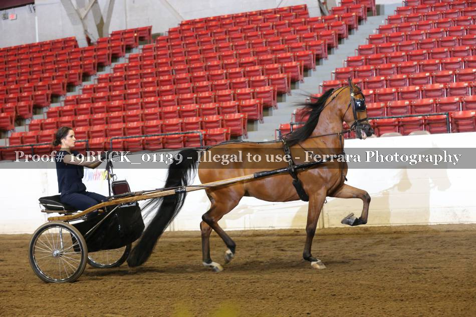 Proof 19BUCK_01139